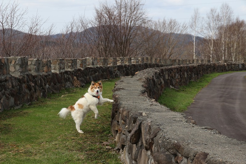 ファイル 48-3.jpg