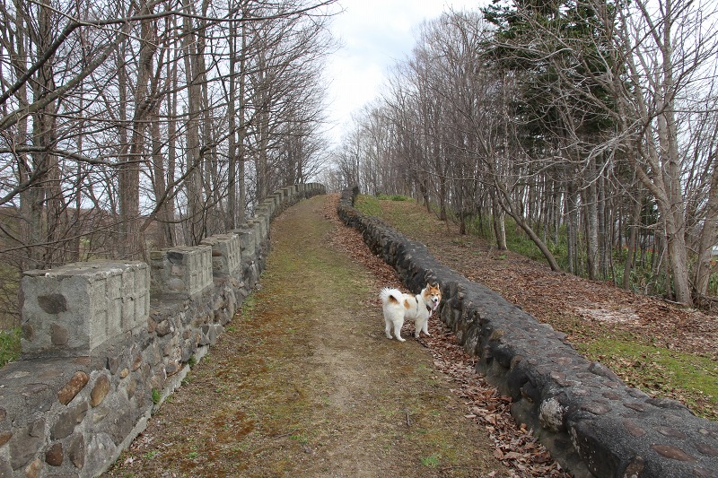 ファイル 48-4.jpg