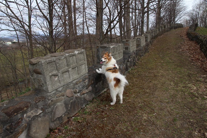 ファイル 48-5.jpg