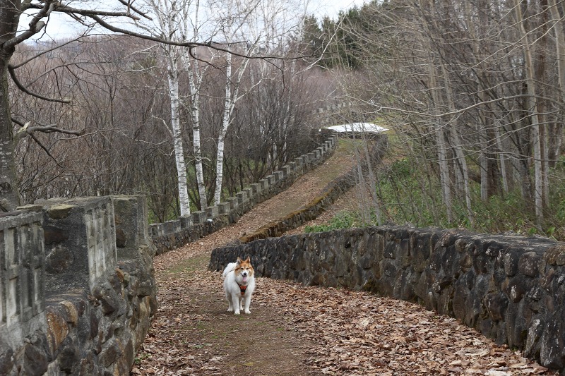 ファイル 48-7.jpg