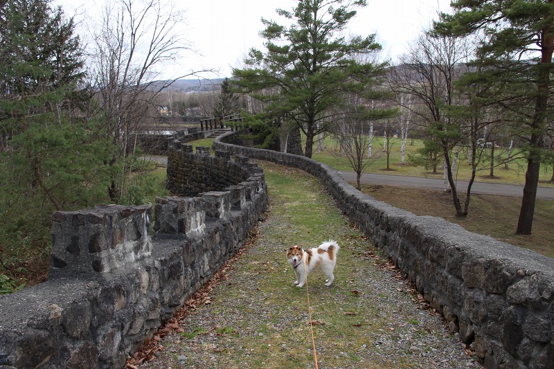 ファイル 48-9.jpg