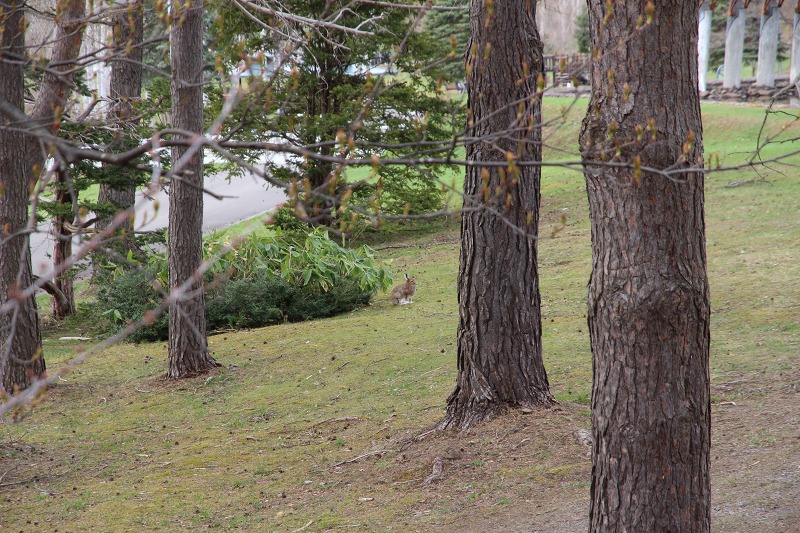 ファイル 49-4.jpg