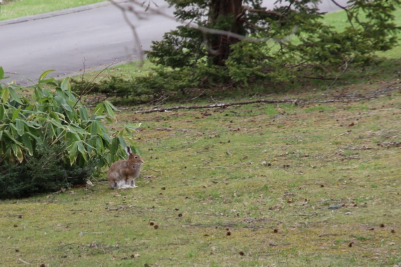 ファイル 49-5.jpg