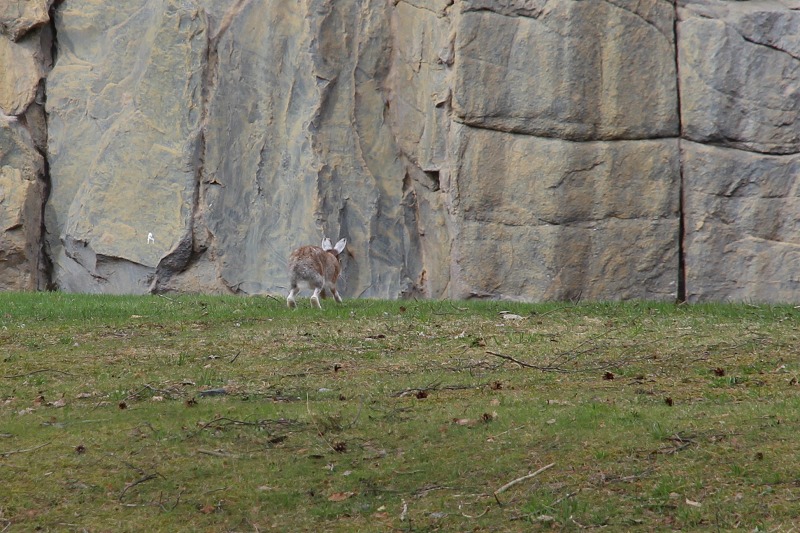 ファイル 49-6.jpg