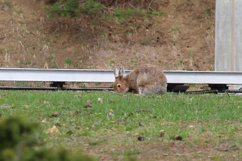 ファイル 49-7.jpg