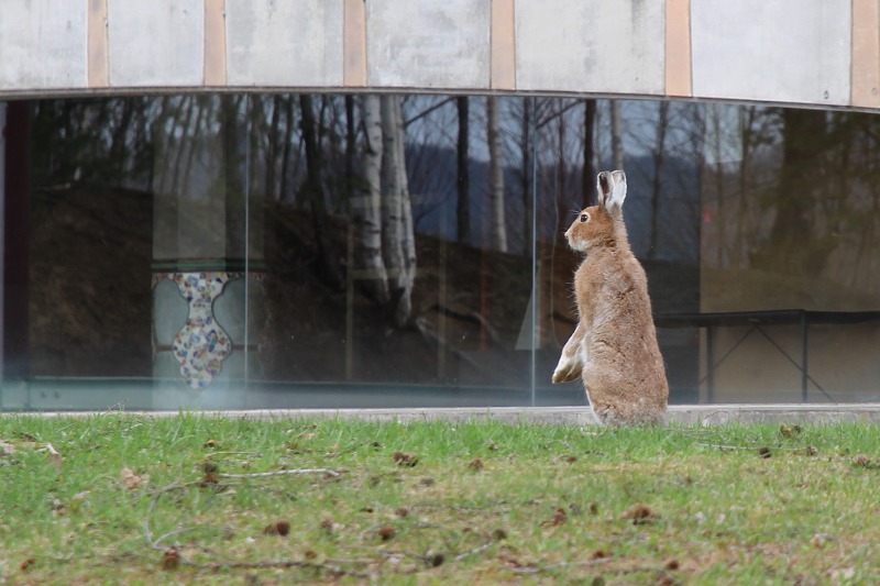 ファイル 49-8.jpg