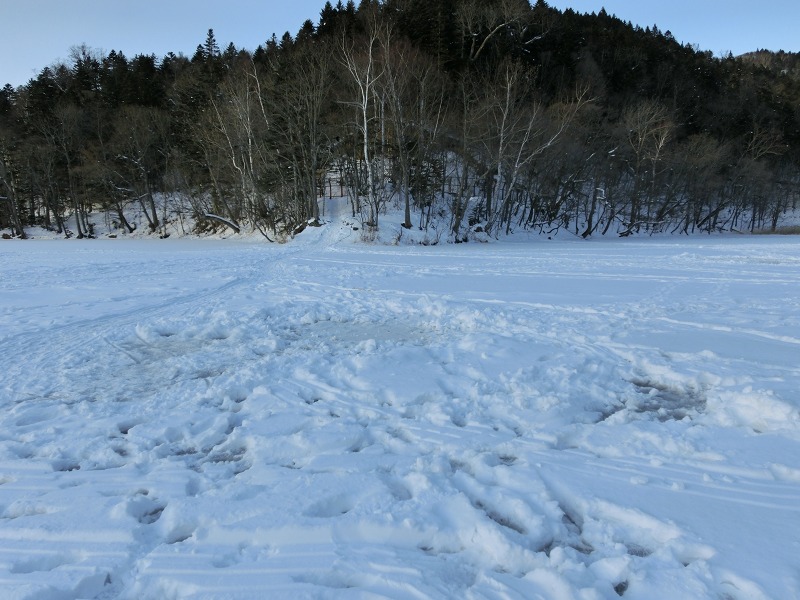 ファイル 5-7.jpg