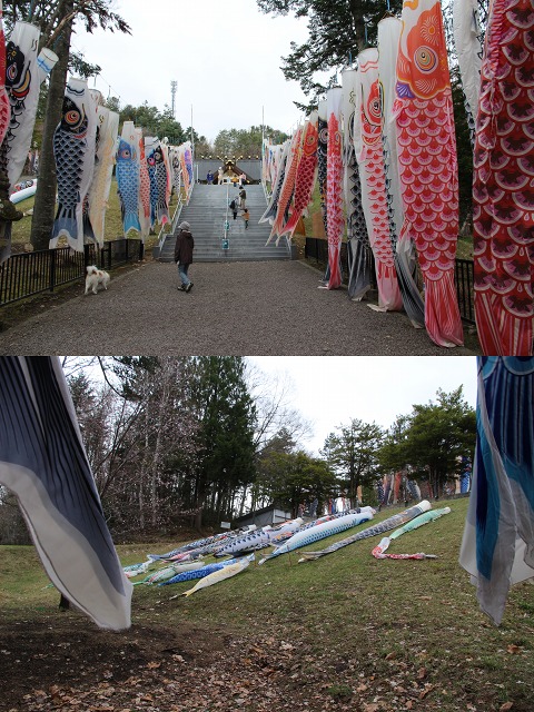 ファイル 50-1.jpg