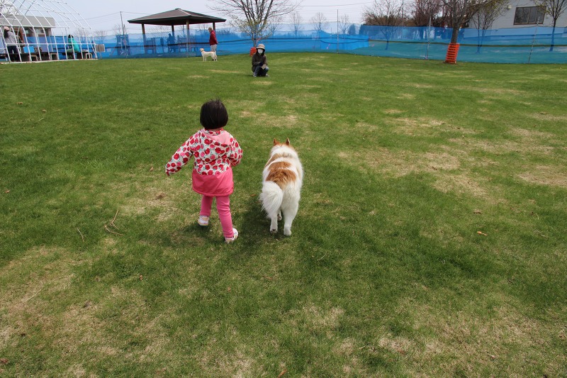 ファイル 50-4.jpg