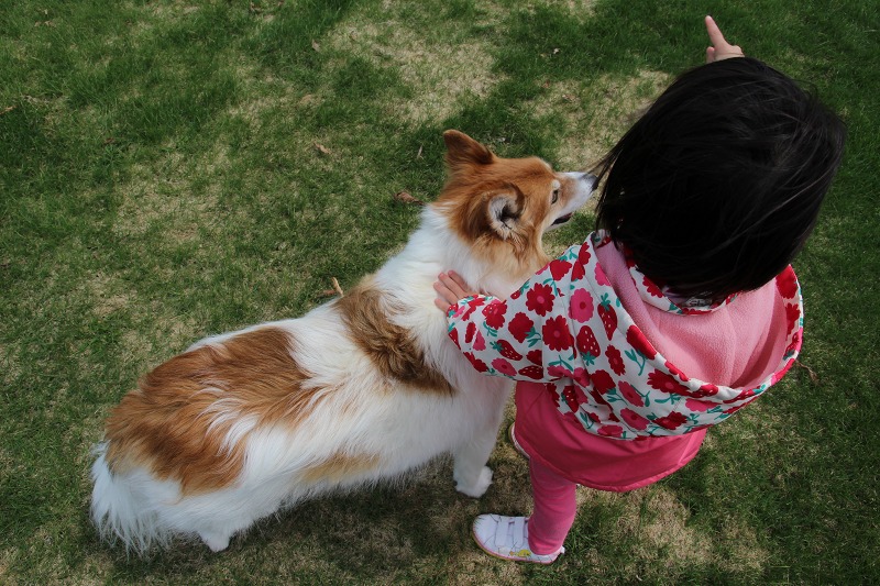 ファイル 50-5.jpg