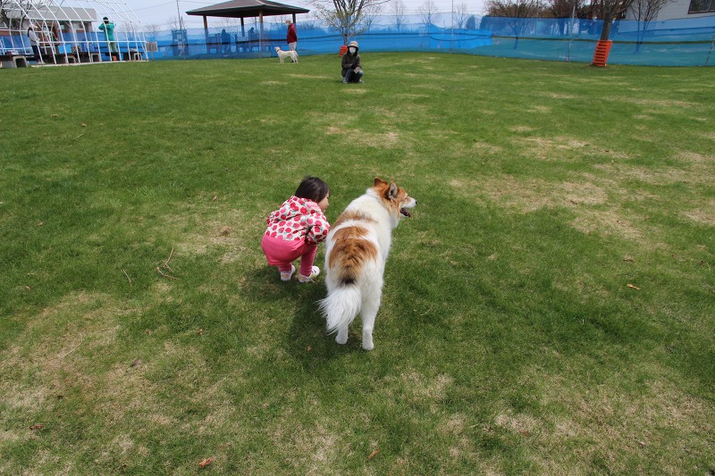 ファイル 50-6.jpg