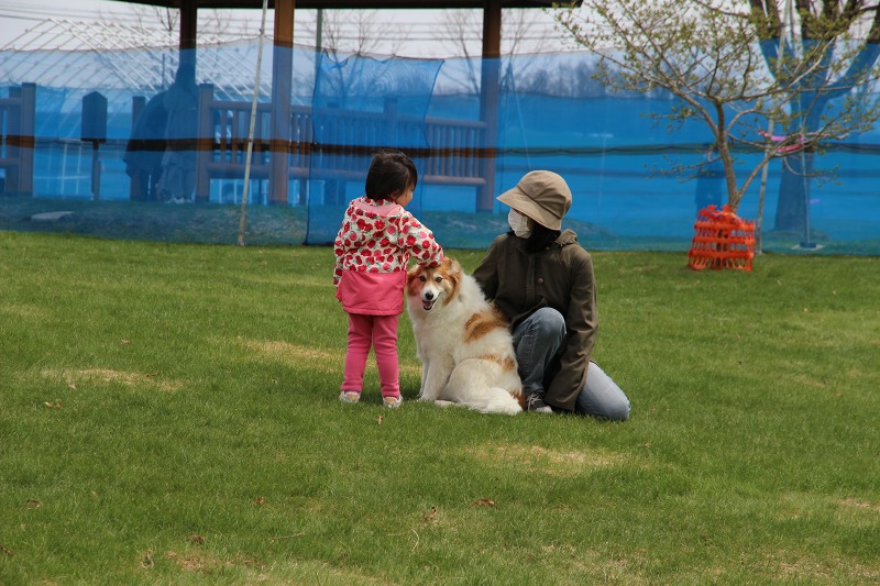 ファイル 50-7.jpg