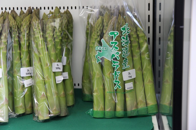 ファイル 50-8.jpg