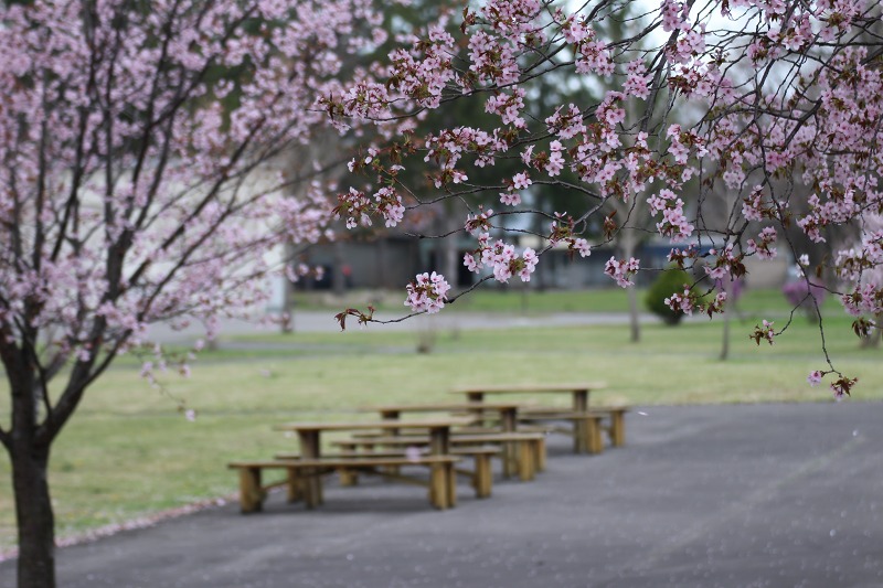 ファイル 51-4.jpg