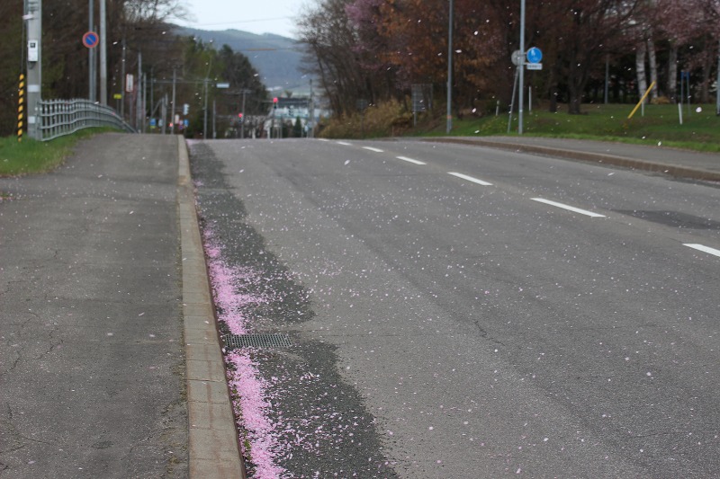 ファイル 51-6.jpg