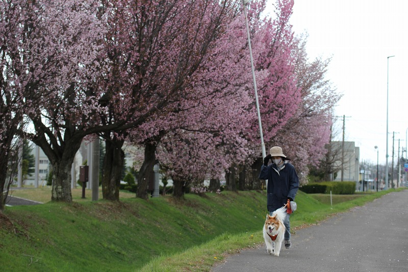 ファイル 51-7.jpg