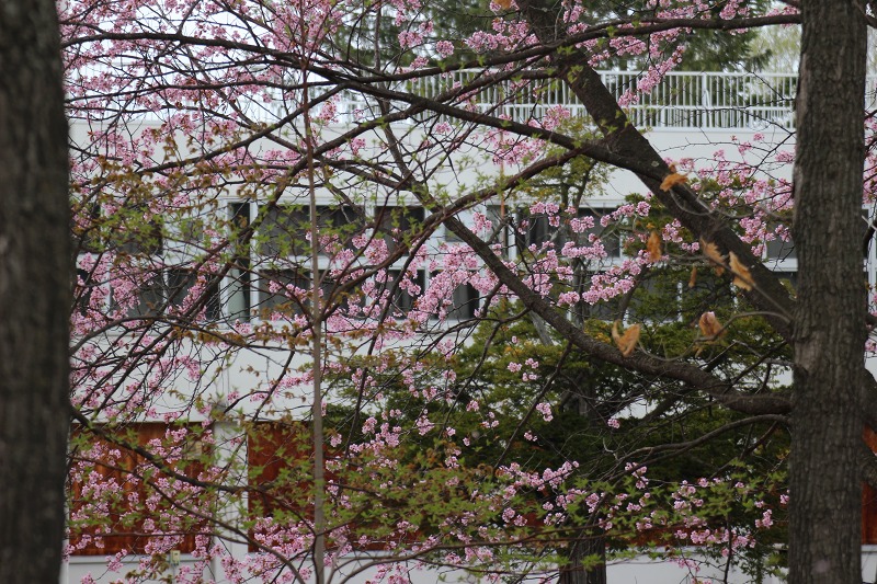 ファイル 51-9.jpg