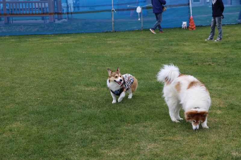 ファイル 53-6.jpg