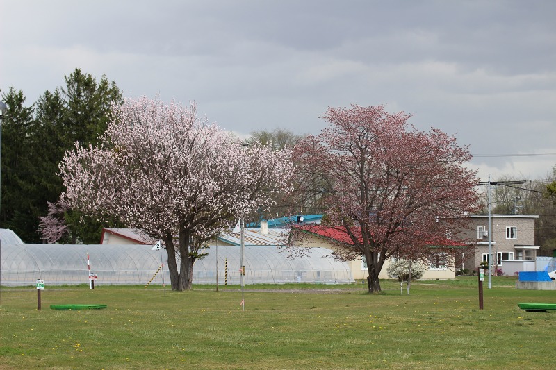 ファイル 54-1.jpg