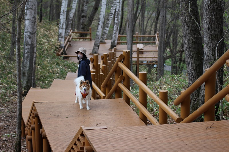 ファイル 54-3.jpg