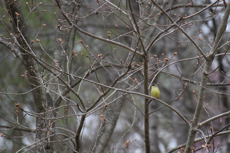 ファイル 54-4.jpg