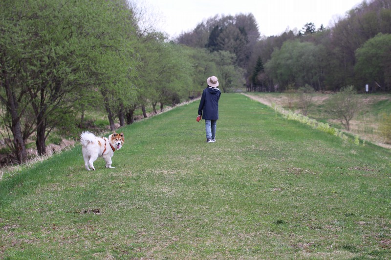 ファイル 54-5.jpg