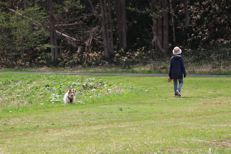 ファイル 54-7.jpg