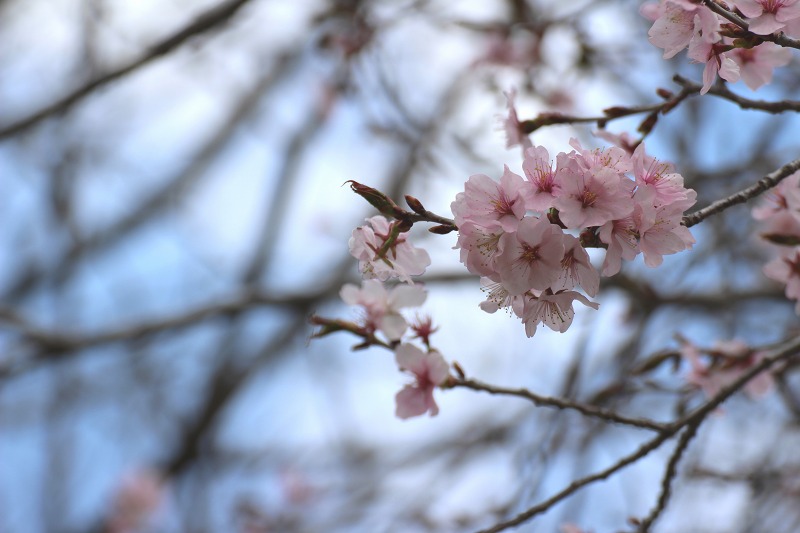 ファイル 54-8.jpg