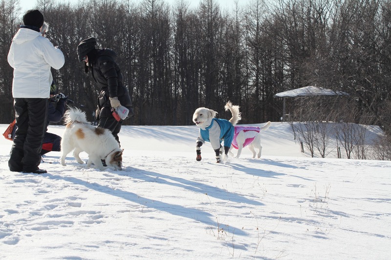 ファイル 56-1.jpg