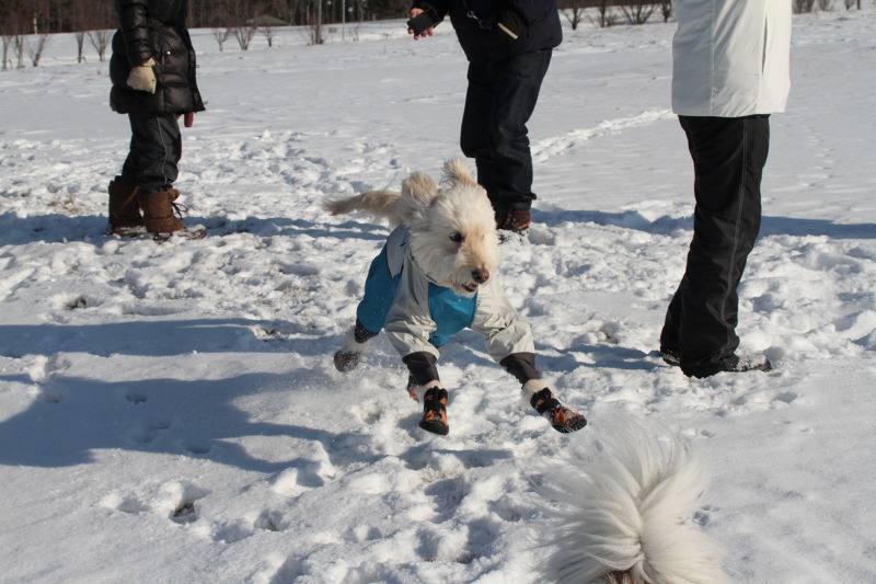 ファイル 56-2.jpg