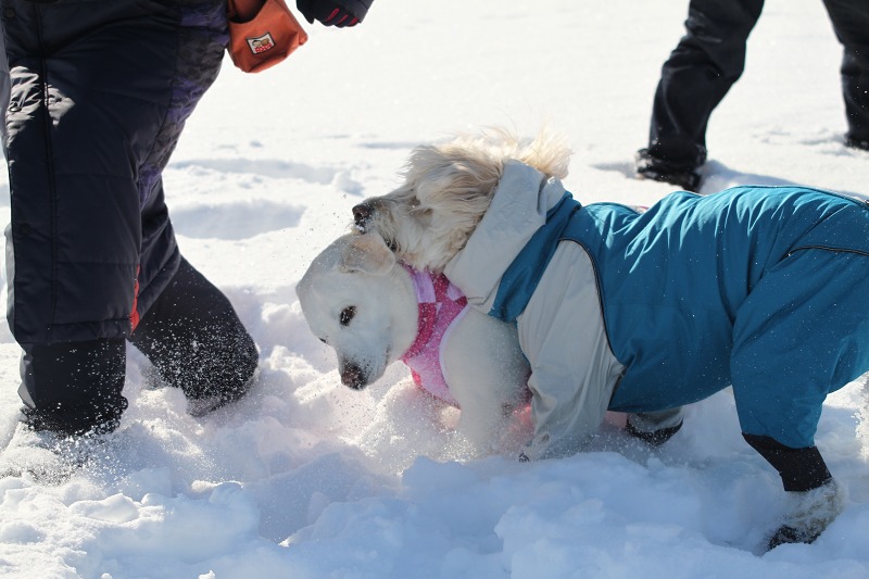 ファイル 56-5.jpg