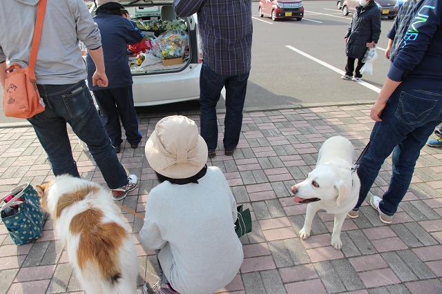 ファイル 56-6.jpg