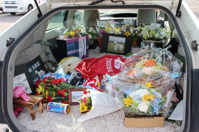 ファイル 56-7.jpg