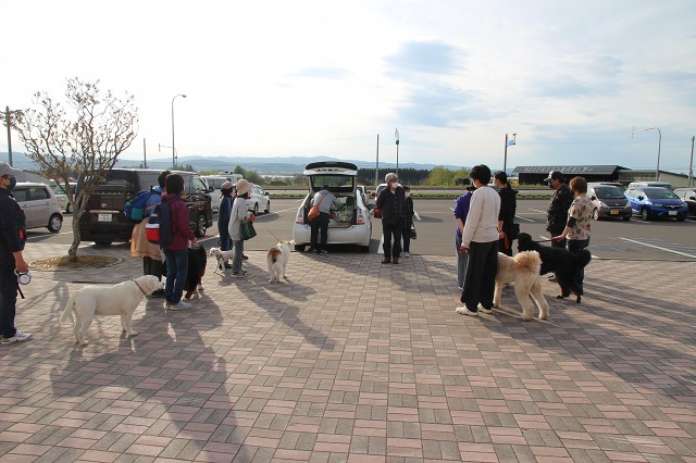 ファイル 56-8.jpg