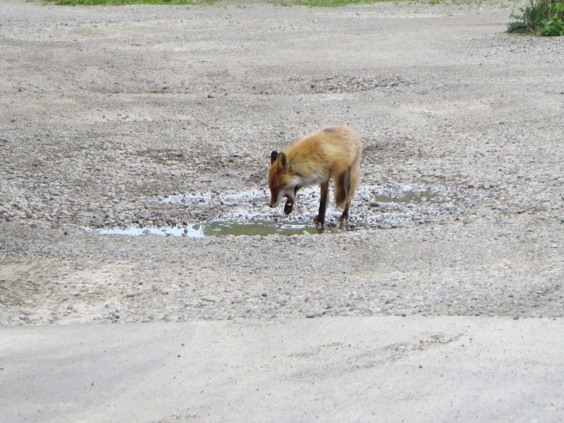 ファイル 59-1.jpg