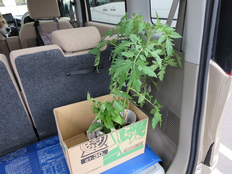 ファイル 59-5.jpg