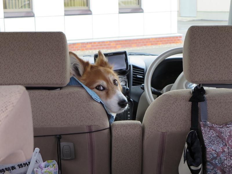 ファイル 59-6.jpg