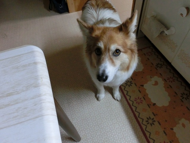 ファイル 6-7.jpg