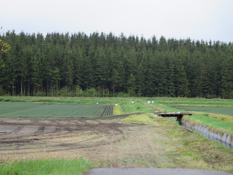 ファイル 60-1.jpg