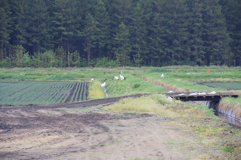 ファイル 60-2.jpg