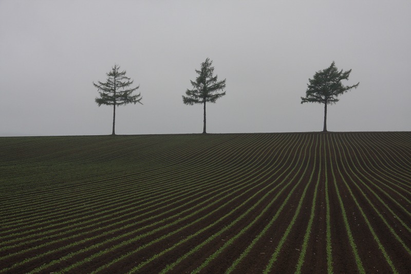 ファイル 60-4.jpg