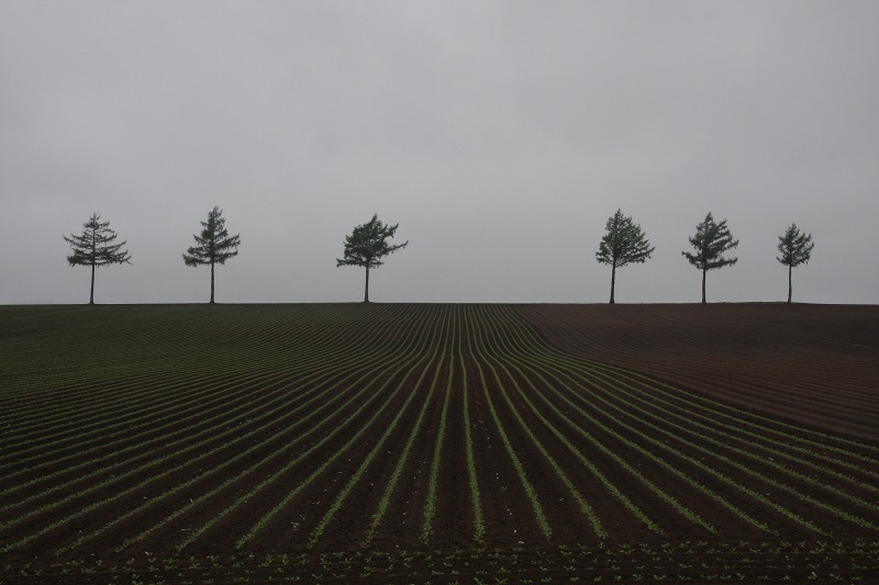 ファイル 60-5.jpg