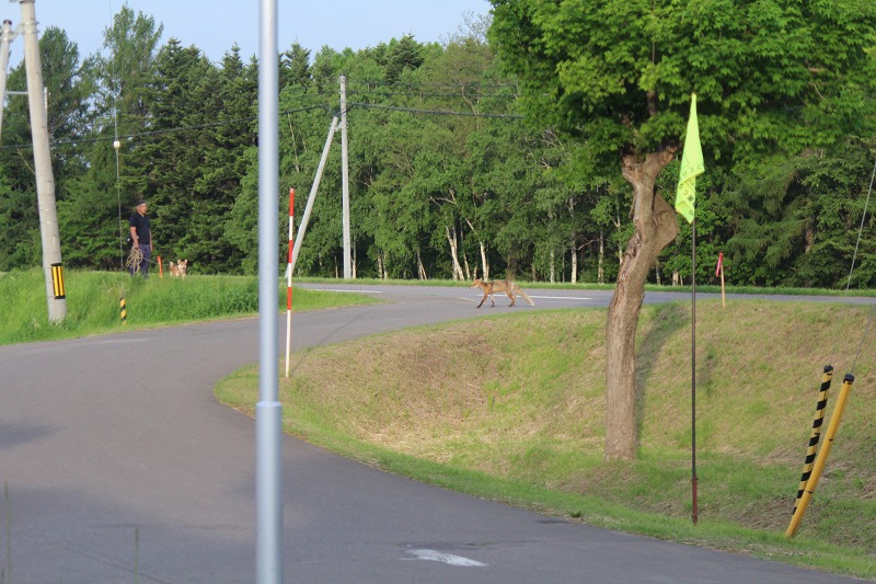 ファイル 62-7.jpg