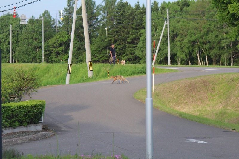 ファイル 62-8.jpg