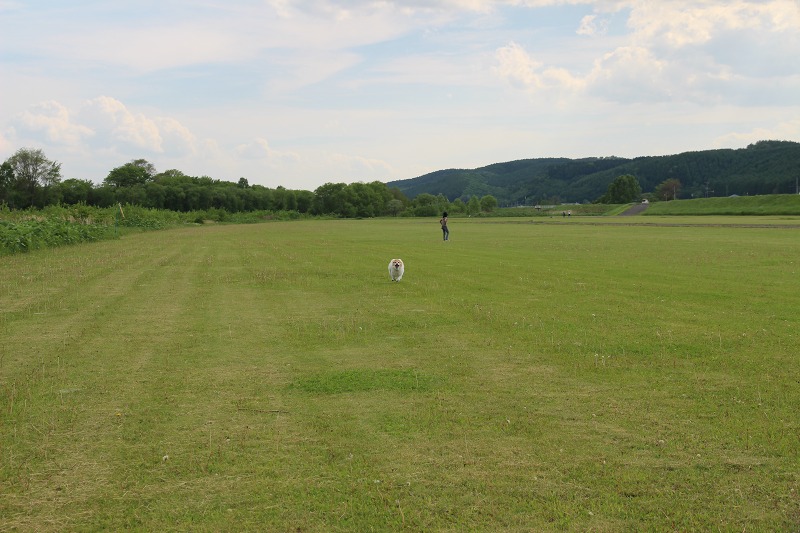 ファイル 63-1.jpg