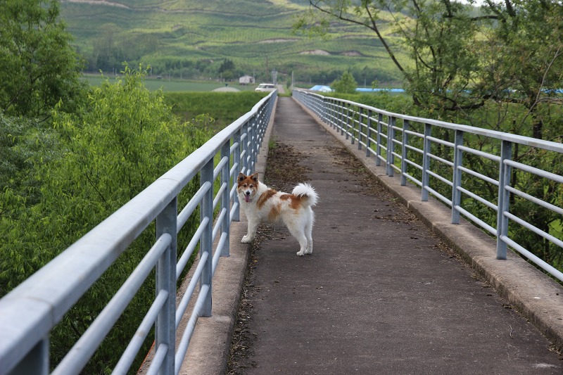 ファイル 63-5.jpg