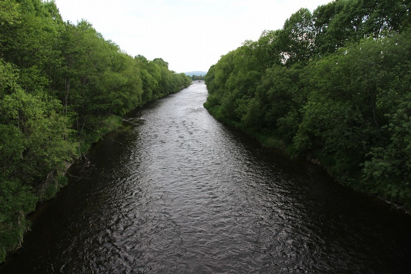 ファイル 63-6.jpg