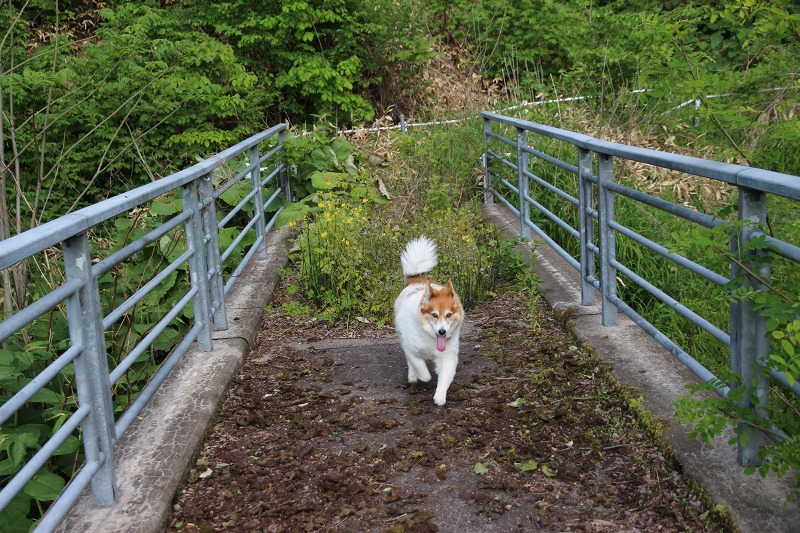 ファイル 63-7.jpg