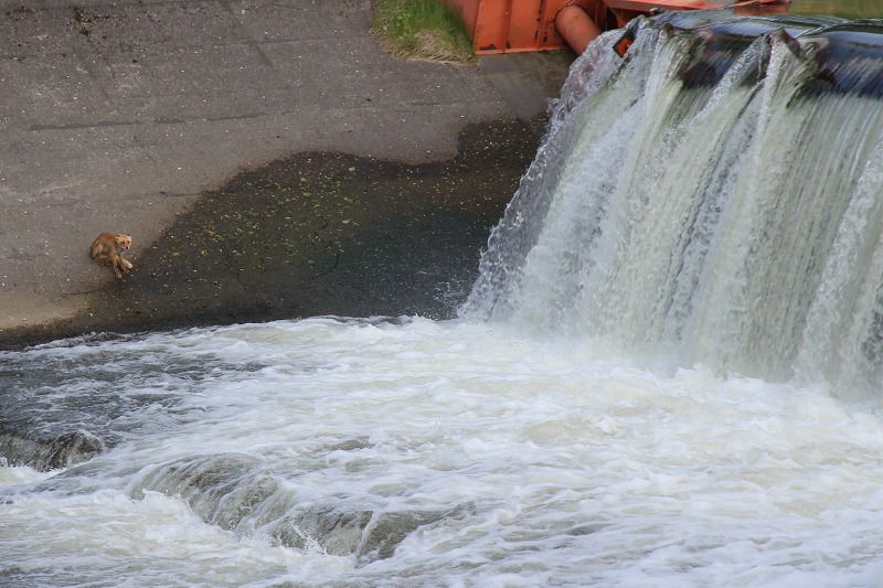 ファイル 63-8.jpg