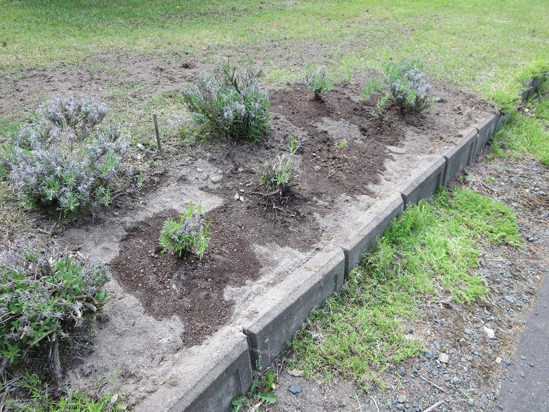 ファイル 66-5.jpg